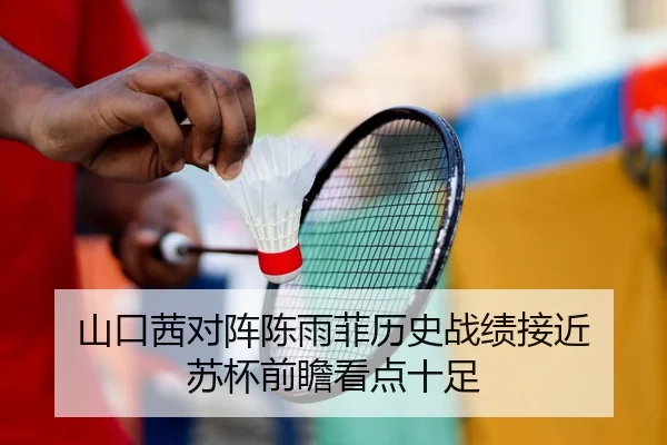 山口茜对阵陈雨菲历史战绩接近 苏杯前瞻看点十足